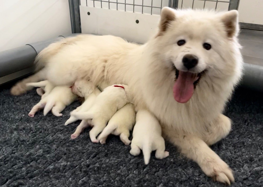 Les bébés sont nés 
