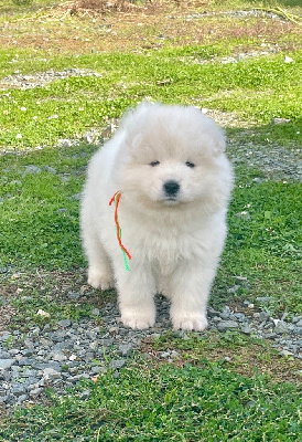Collier orange et vert